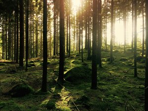 Foto von Gustav Gullstrand auf Unsplash